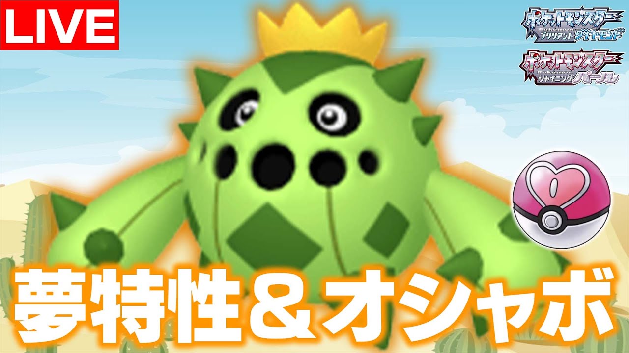 【ポケモン孵化＆配布】オシャボ・夢特性のサボネア配布！【ポケモンBDSP】