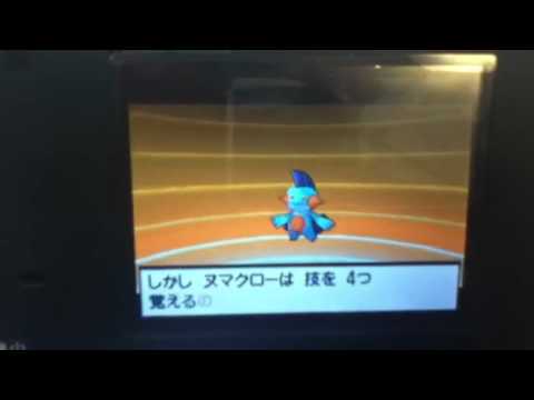 ミズゴロウ進化