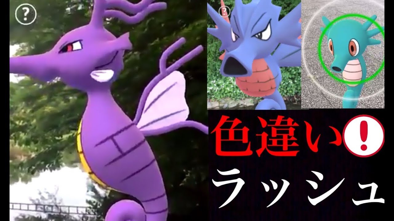 【ポケモンGO】怒涛の色違いラッシュ！やっぱりイロチ確率が凄いことになってる・・？【色違いタッツー】