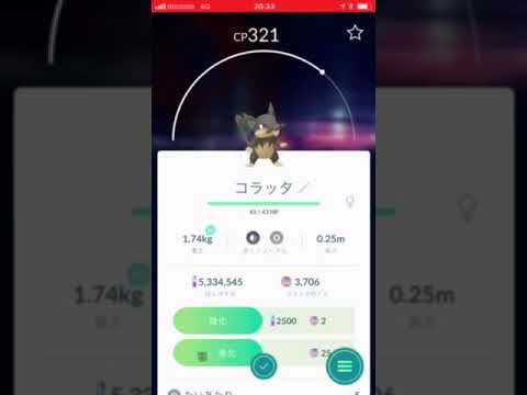 アローラのタマゴからコラッタ(-_-)休憩のポケモンGO
