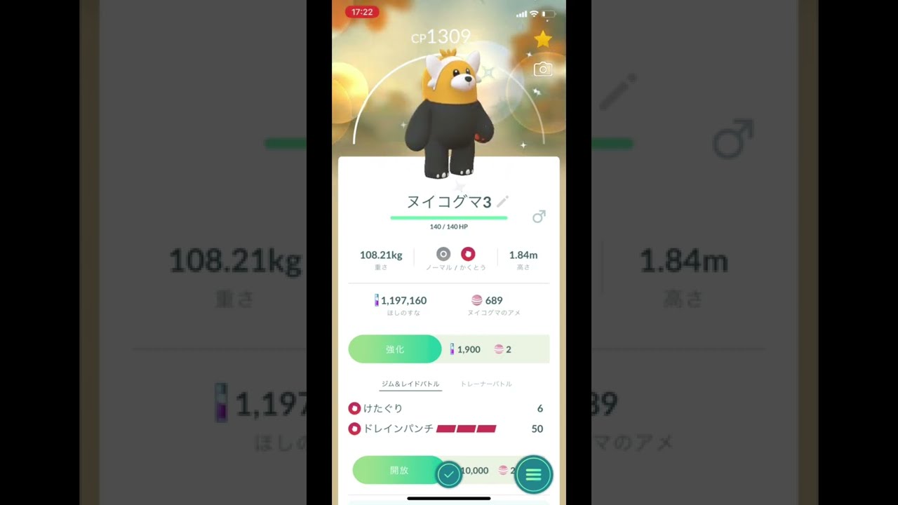 ポケモンGOで色違いのヌイコグマから色違いのキテルグマに進化！ #Shorts