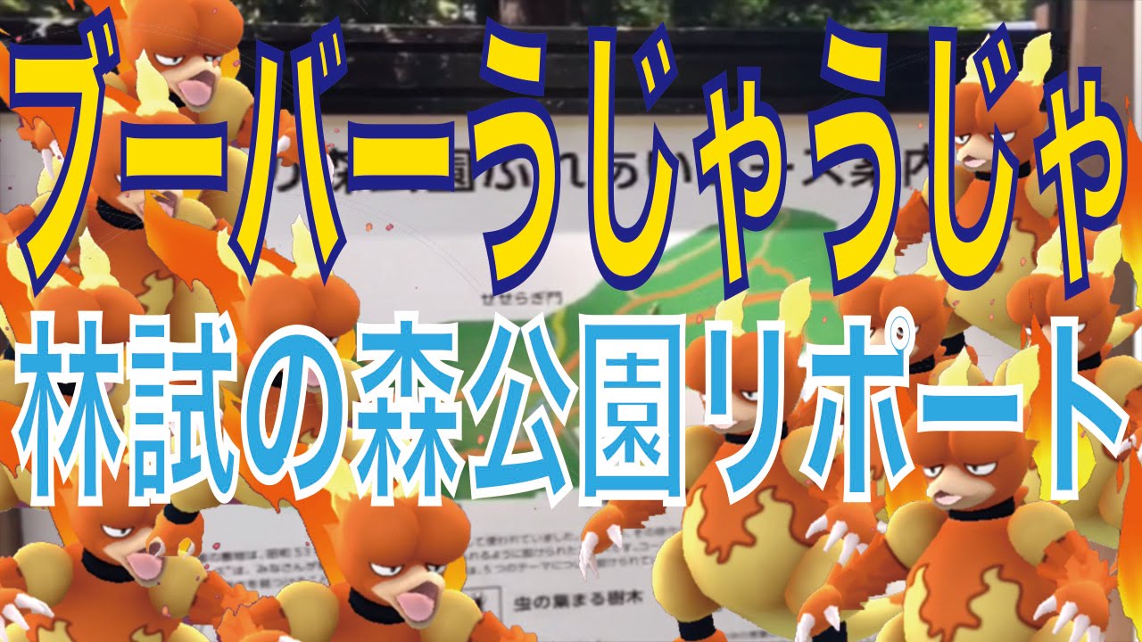 【ポケモンGO】ブーバーの巣【林試の森公園】よりリポート【pokemongo】