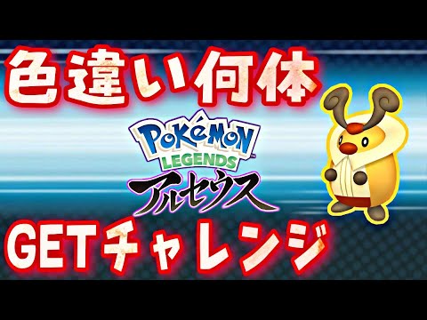 【レジェンズアルセウス】5時間で色違いコロボーシ何体GET出来るかチャレンジ【タスク完璧ひかおま無し】