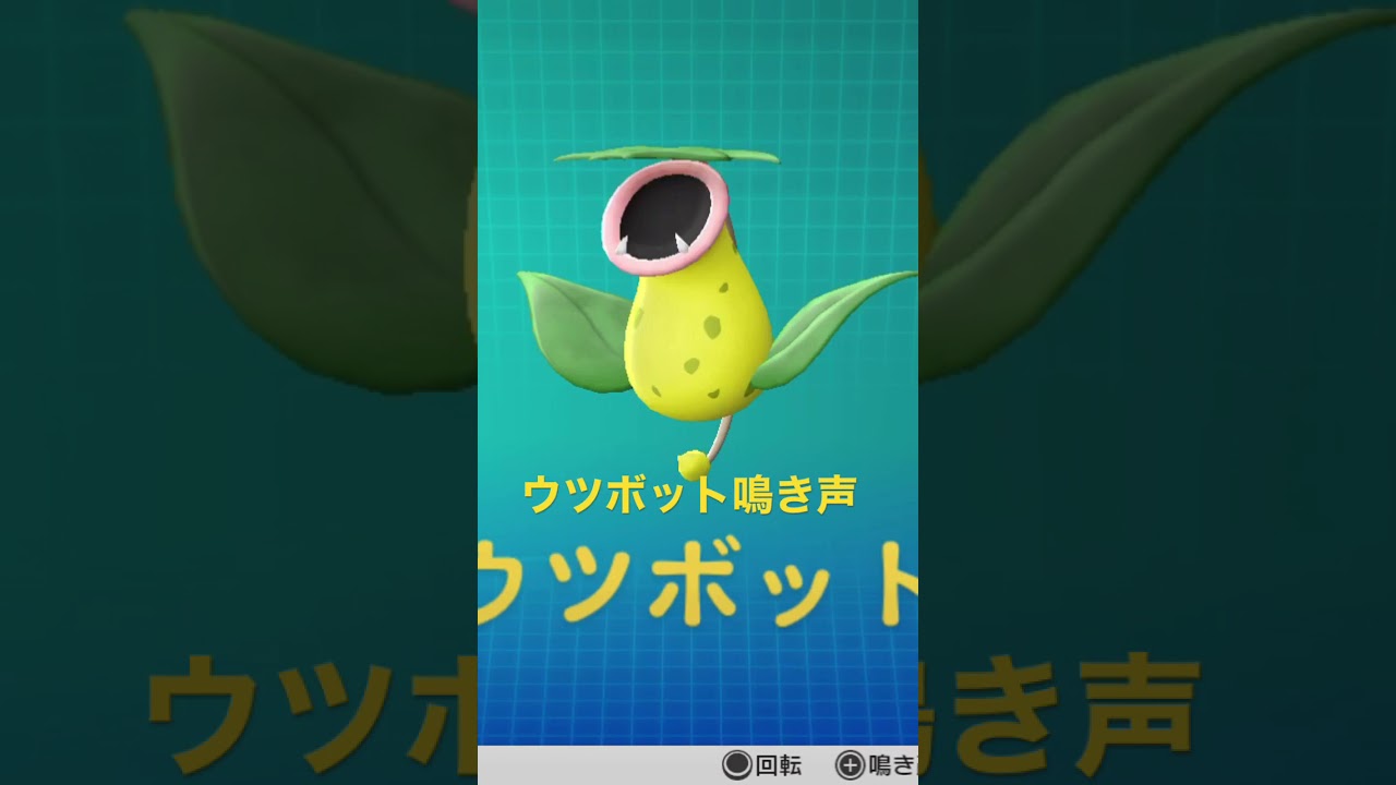 ピカブイ【図鑑NO071】ウツボット鳴き声#ポケモン鳴き声 #図鑑コンプ #レッツゴーピカチュウ#レッツゴーイーブイ#Victreebel