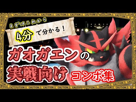 【スマブラSP】コマンド解説有り！ガオガエンの初心者向けコンボ解説動画！【VIP目指して！】