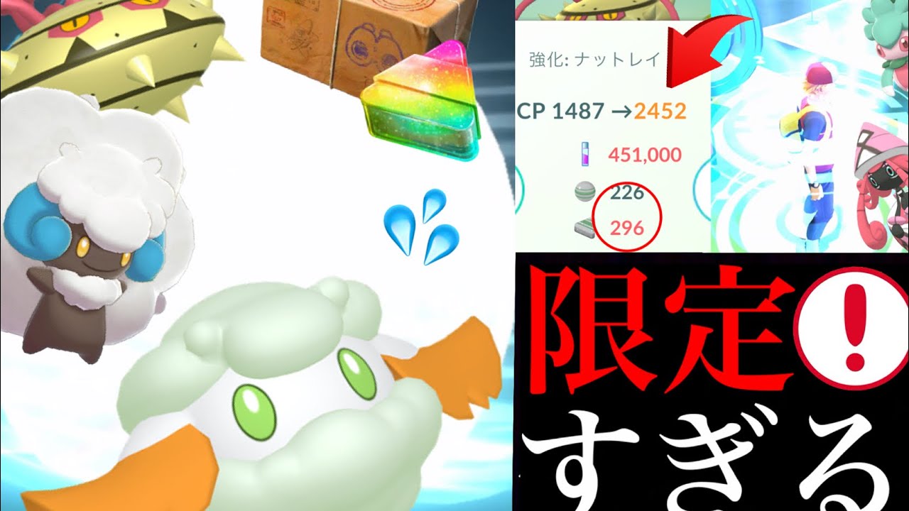 【ポケモンGO】絶対〇〇で逃すとマズイ！？２日間限定やあのレア大量沸きでアメＸＬ大チャンスがやってきた・・！【シェードジャングル・色違いポケモン・モンメン・カプテテフ】