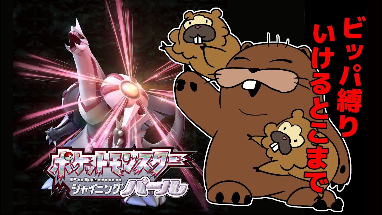 【ポケモン】ビーバーがビッパ（ビーダル）だけでクリア目指す配信７【ダイパ】