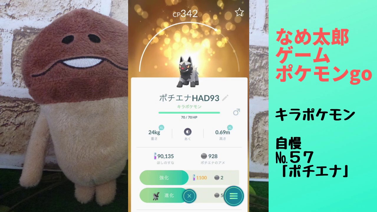 【ポケモンgo】なめ太郎のキラポケモン自慢コーナーナンバー５７、「ポチエナ」