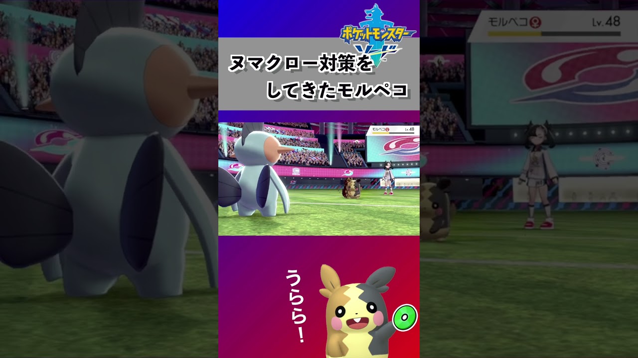 【ポケモン剣盾】モルペコお前、ヌマクローに恨みでもあるんか... #shorts #pokemon #ポケモン剣盾