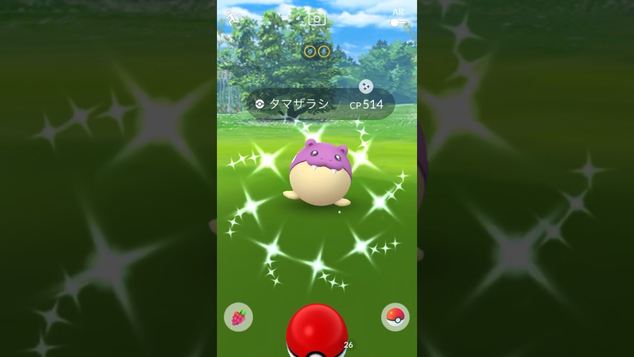 【色違い】紫色の『タマザラシ』をGET！【ポケモンGO】#色違いポケモン #ポケモンgo #ポケモンgo色違い #pokémongo
