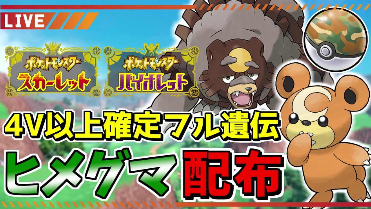 【ポケモンSV】ガチグマにしてライバルと差をつけよう！フル遺伝サファリボールヒメグマ配布会！