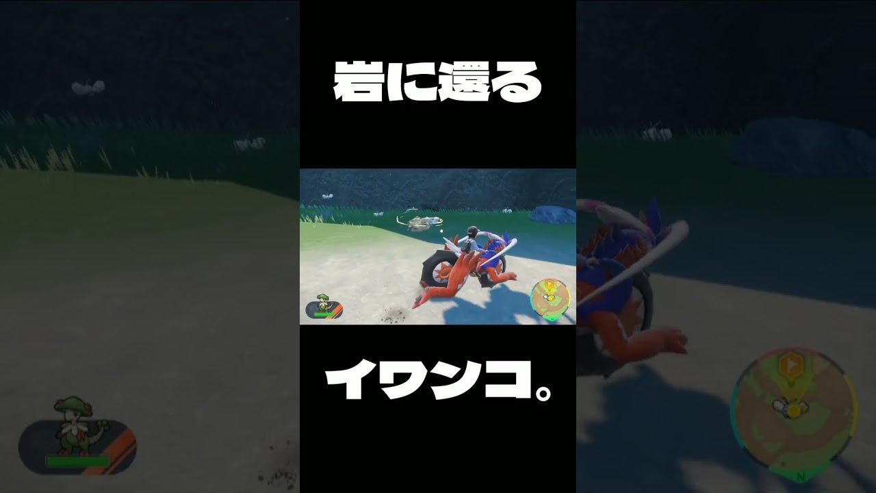 [ポケモンSV] 岩に還るイワンコ。 [ポケットモンスタースカーレット] #Shorts #ポケモンsv #ポケットモンスタースカーレット #ポケットモンスターバイオレット