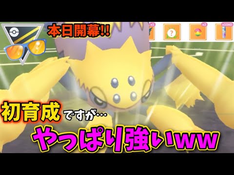 幸先良すぎ…初育成のムキムキデンチュラ連れてったら、やっぱり強かった。GOバトルリーグ　サマーカップ　ハイパーリーグ【ポケモンGO】