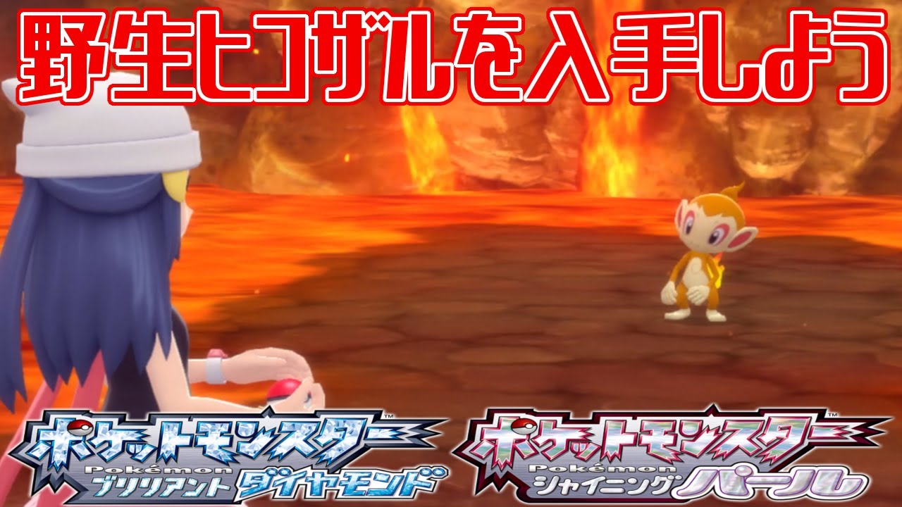 【ポケモンダイパリメイク】野生ヒコザルを入手しよう【ポケットモンスター ブリリアントダイヤモンド・シャイニングパール】Pocket Monsters
