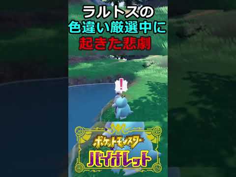 【ポケモンSV】色違いラルトスの厳選に起こった悲劇#Shorts