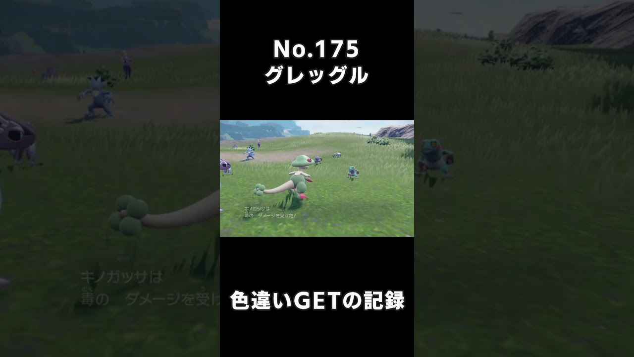 【色違いGETの記録】No.175 グレッグル