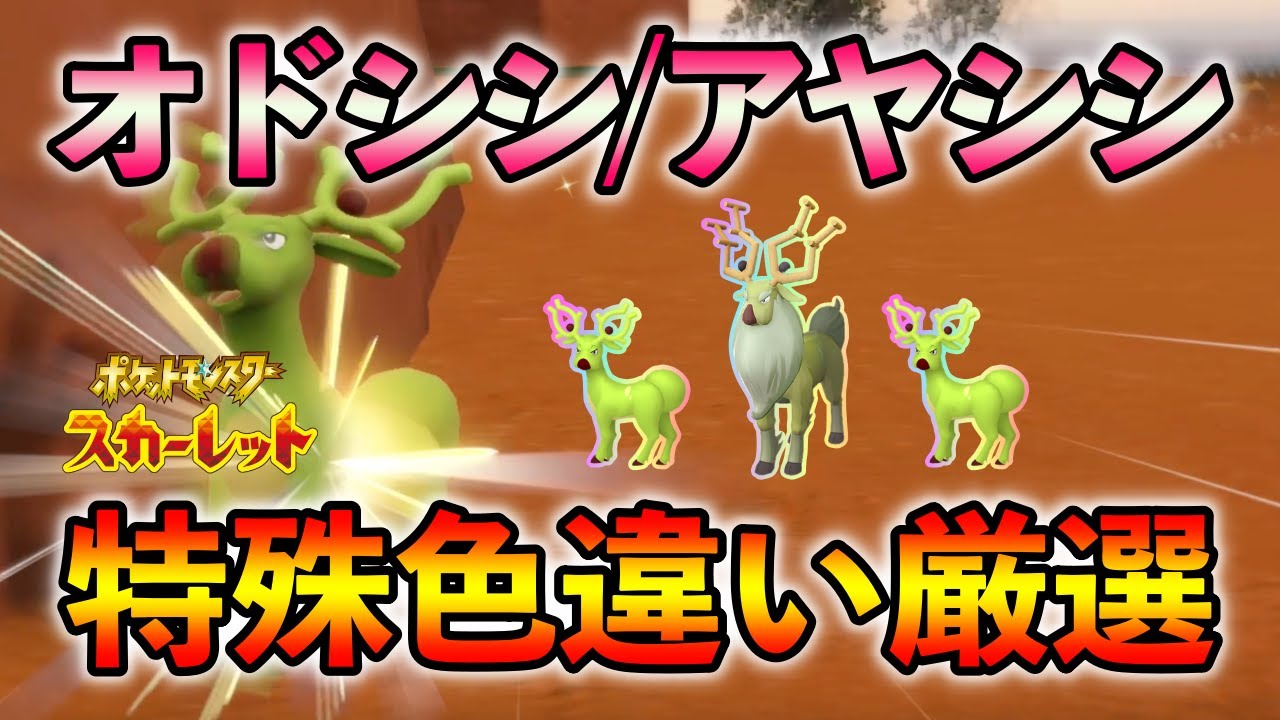 【ポケモンSV】 オドシシ(アヤシシ)の特殊色違い厳選方法をご紹介 【色違い厳選】アヤシシ アルセウス