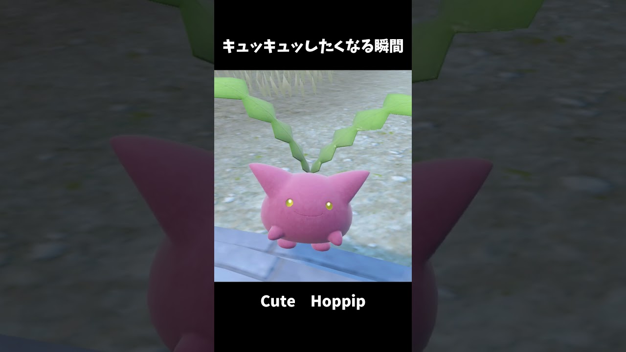 【ポケモンsv】かわいいハネッコ　Cute Hoppip #Shorts