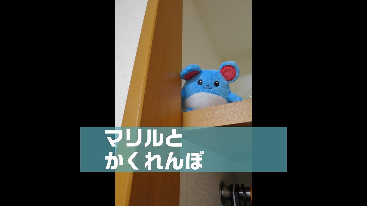 マリルとかくれんぼ