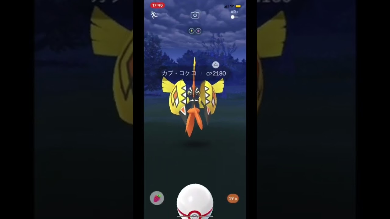 【初カプ・コケコ】#shorts ＃Shorts #pokemongo #カプ・コケコ　#アローラ　#アローラ地方　#ポケモンgo #初ゲット　#初レイド　#カプコケコ　#でんき　#フェアリー