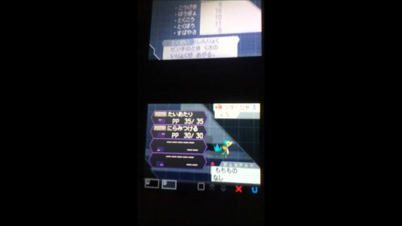 色違いツタージャちゃん