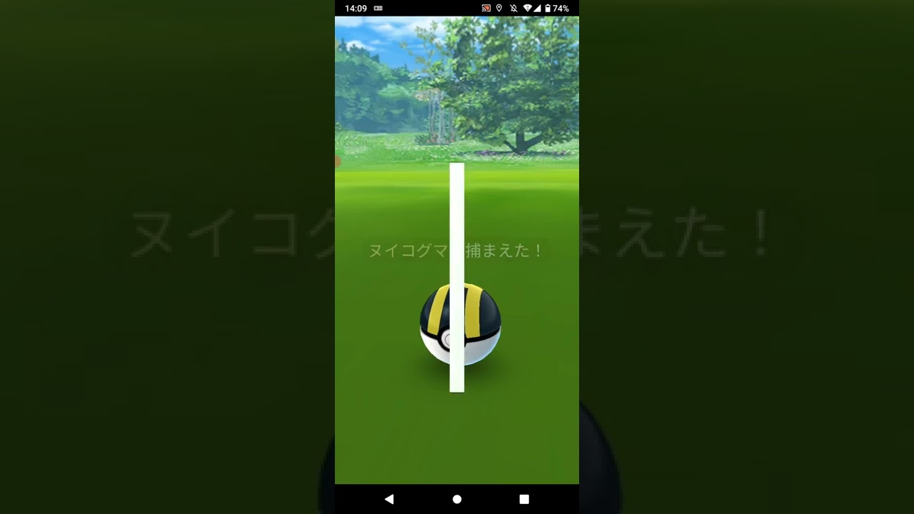 ポケモンGO「初実装！色違いヌイコグマ」#shorts