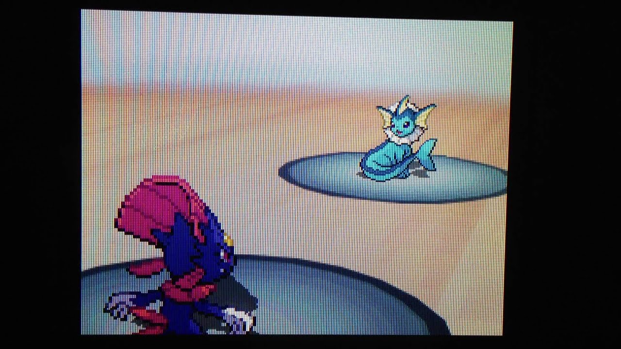 ポケモンBWランダム　絶体絶命！ヌマクローガンバ！！