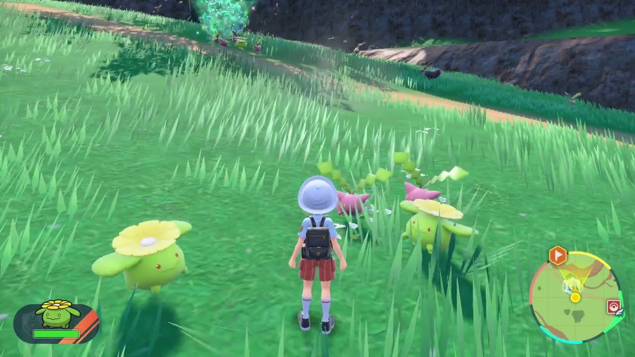 はしりだすポポッコ【ポポッコ観察】