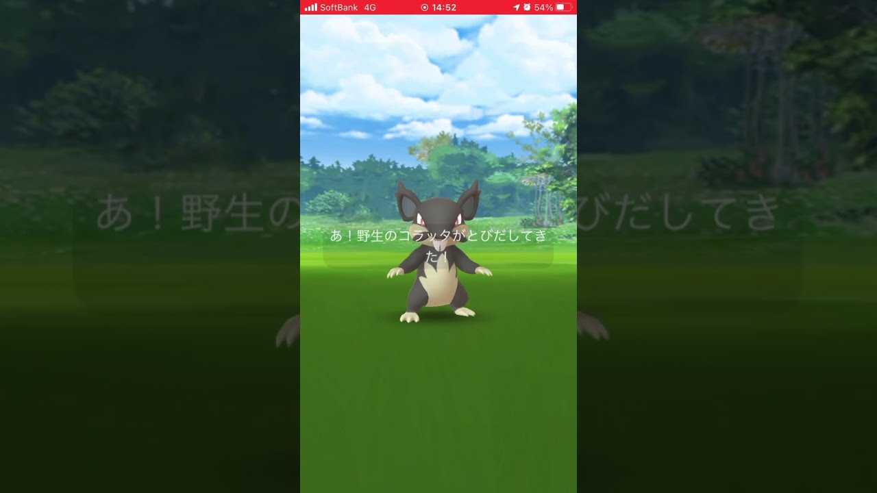ポケモンGO コラッタが進化ラッタになったよ！