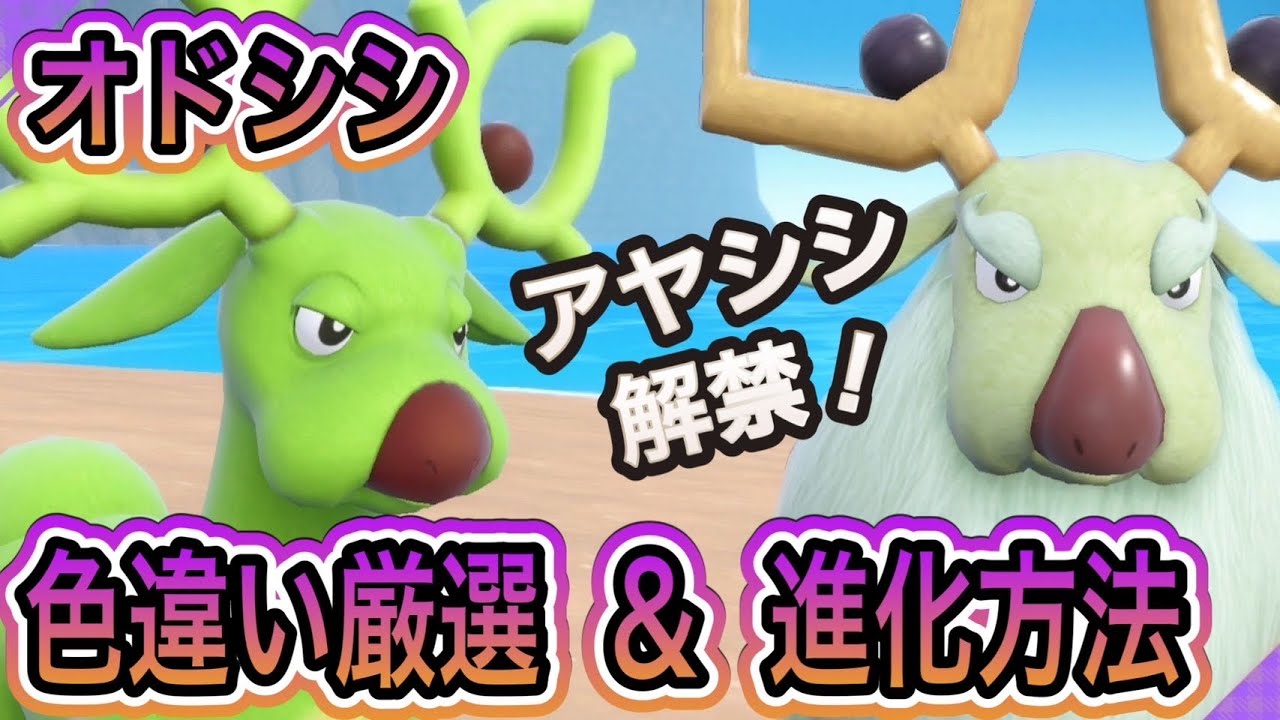 【超簡単】オドシシ・アヤシシを大量発生なしで色違い厳選する方法！【ポケモンSV】