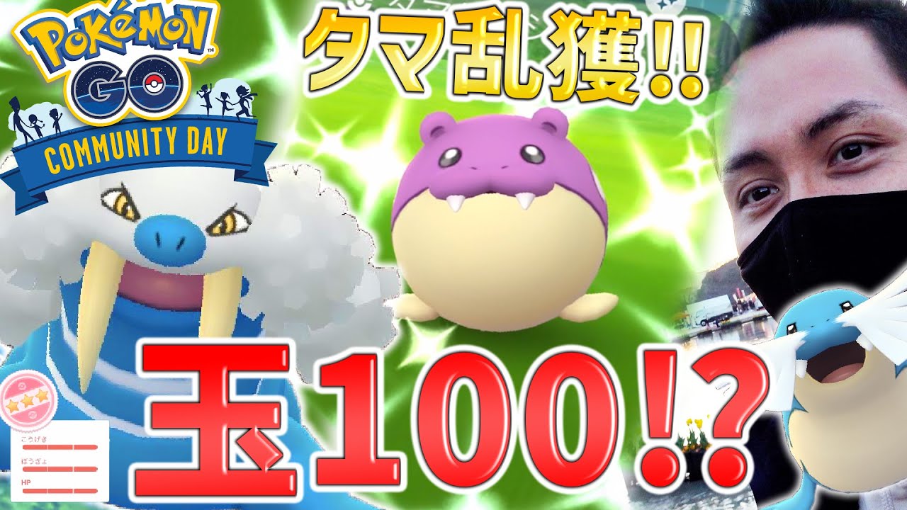 タマザラシ！色違い！100％！つららばり強すぎてガチ厳選案件！今年初っ端の最重要コミュニティデイ！！！【ポケモンGO】