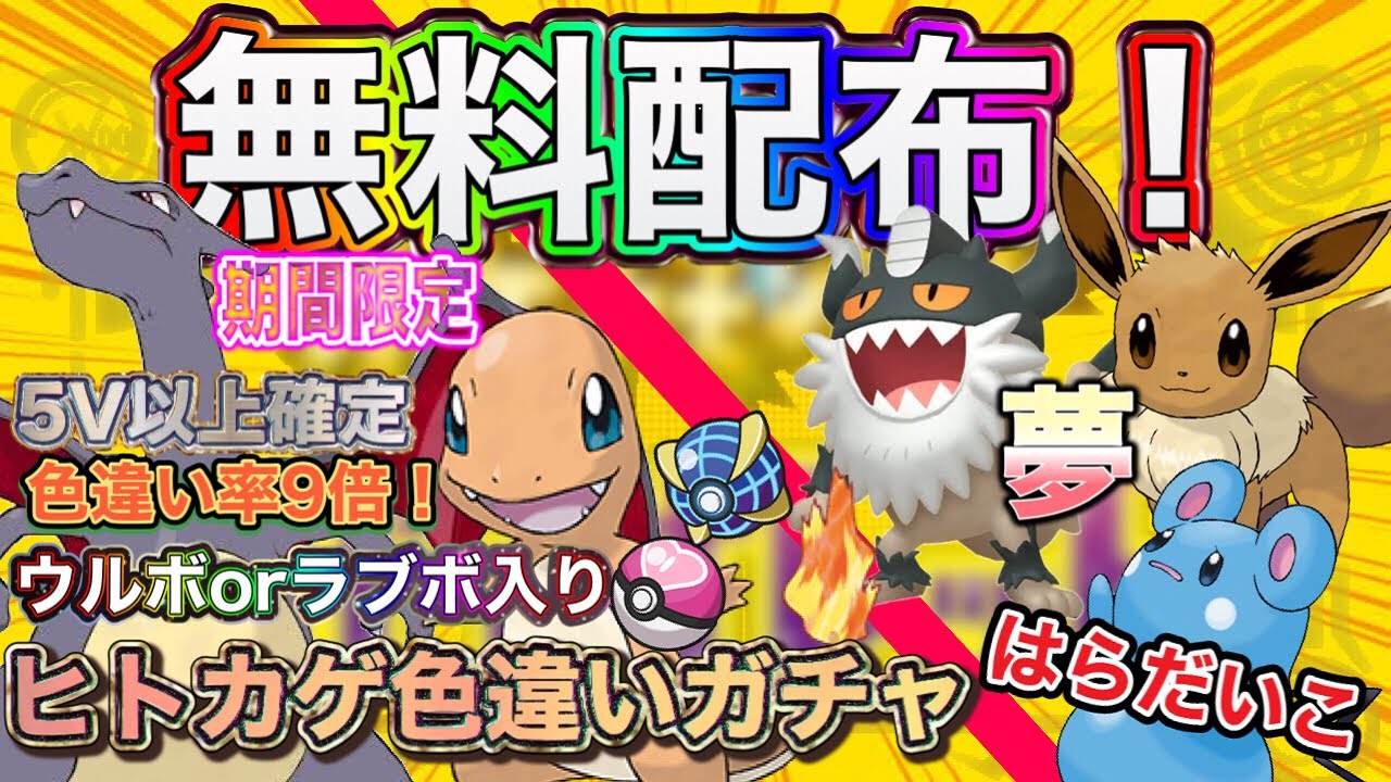 条件達成で色違い！ウルボ入りヒトカゲ色違いガチャ、はらだいこルリリ、夢いじっぱりニャイキング、夢イーブイ、その他は概要欄【ポケモンSV 実況ライブ配信中】