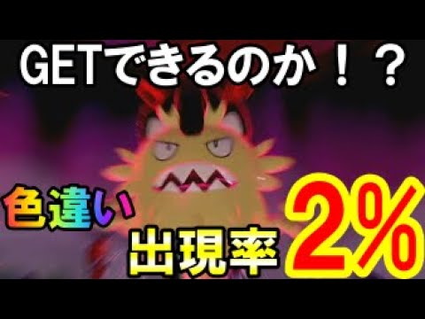 【ポケモン剣盾】色違いガラルニャースを捕まえよう！！！！