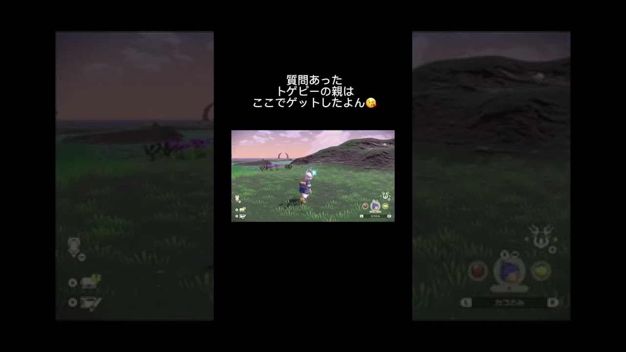 ポケモンlegendsアルセウス　トゲピー親