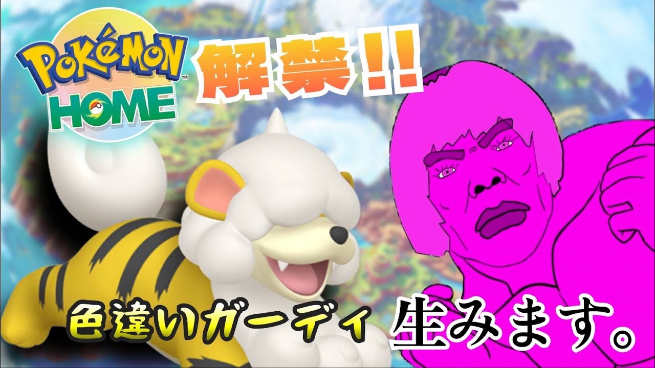 [ポケモンSV］マッテローヨ！ワンちゃん！色違いヒスイガーディ約一時間配信やるぜ『Raundだす／ラウンド』