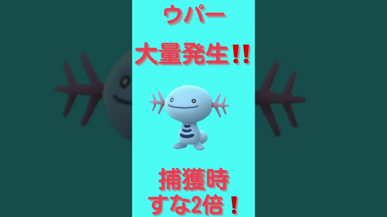 本日のスポットライトアワーはウパー❗️