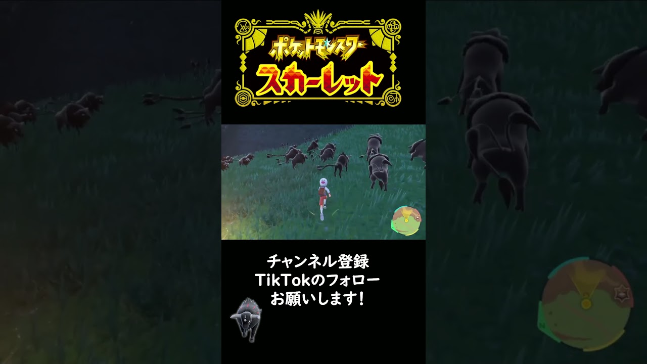 【色違い縛り】　色違いの炎のケンタロスを出して発狂する男　【ポケモンSV】