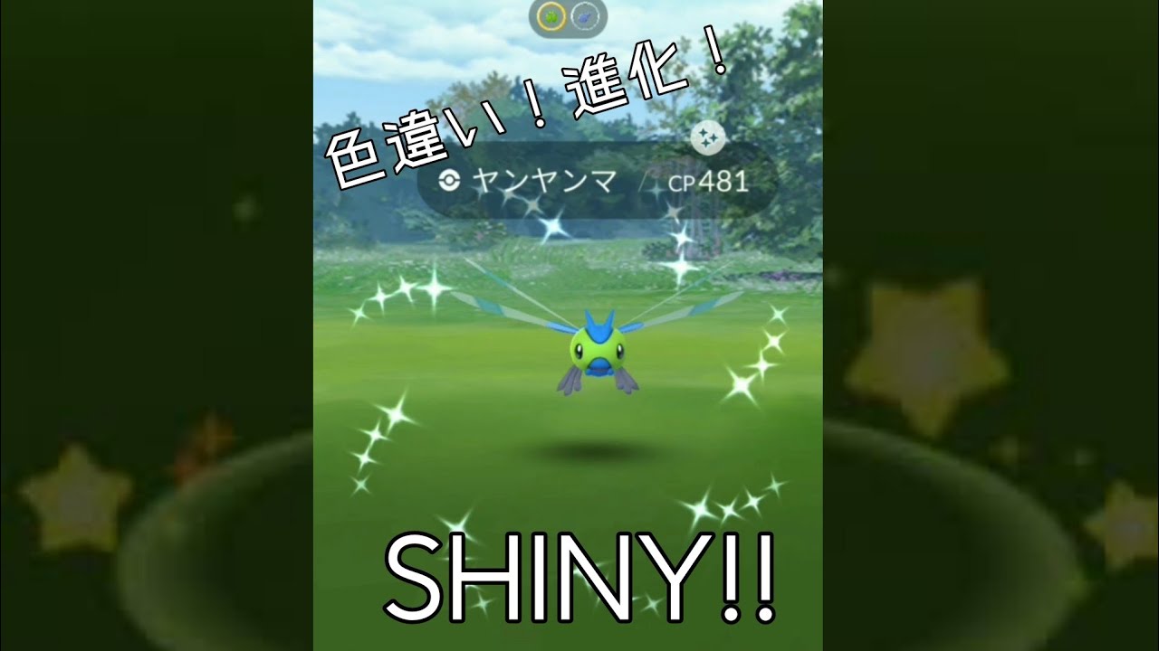 【Get and Evolve】SHINY YANMA and YANMEGA !! Pokemon Go / 色違いヤンヤンマ【進化】