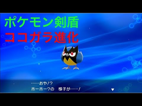 【ポケモン剣盾】ホーホー？(ココガラ)が進化しました Pokémon Sword Shield