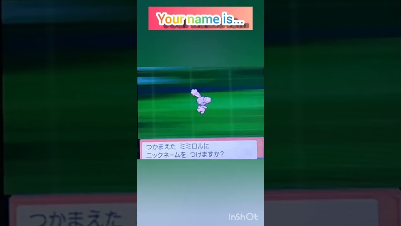 【ポケモンDP】色違い捕獲日記　97日目　ミミロル　【PokémonDP】The diary Capturing shiny Pokémon's　Day97　Buneary　#shorts