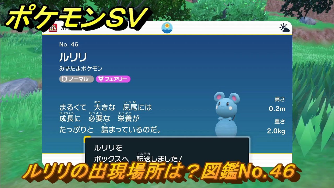 ポケモンＳＶ　ルリリの出現場所は？図鑑No.４６　【ポケモンバイオレット・スカーレット】