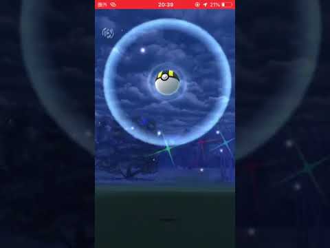 色違い貝 確率1/300 【ポケモンGO オムナイト】