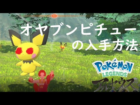 [レジェンズアルセウス] 攻略　オヤブンピチューも存在してた？！オヤブンピチューピチューの入手方法、入手場所　アルセウス ピチュー