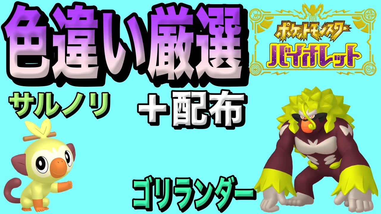 【ポケモンSV】ポケモンHOME解禁‼︎サルノリ色違い厳選&配布配信！！【雑談】