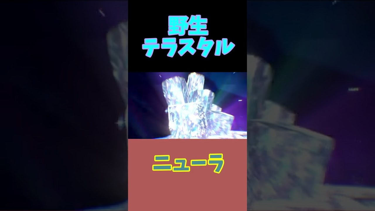 草むらを散策していたらテラスタル ニューラを発見しました！無事に捕まえました。 #shorts
