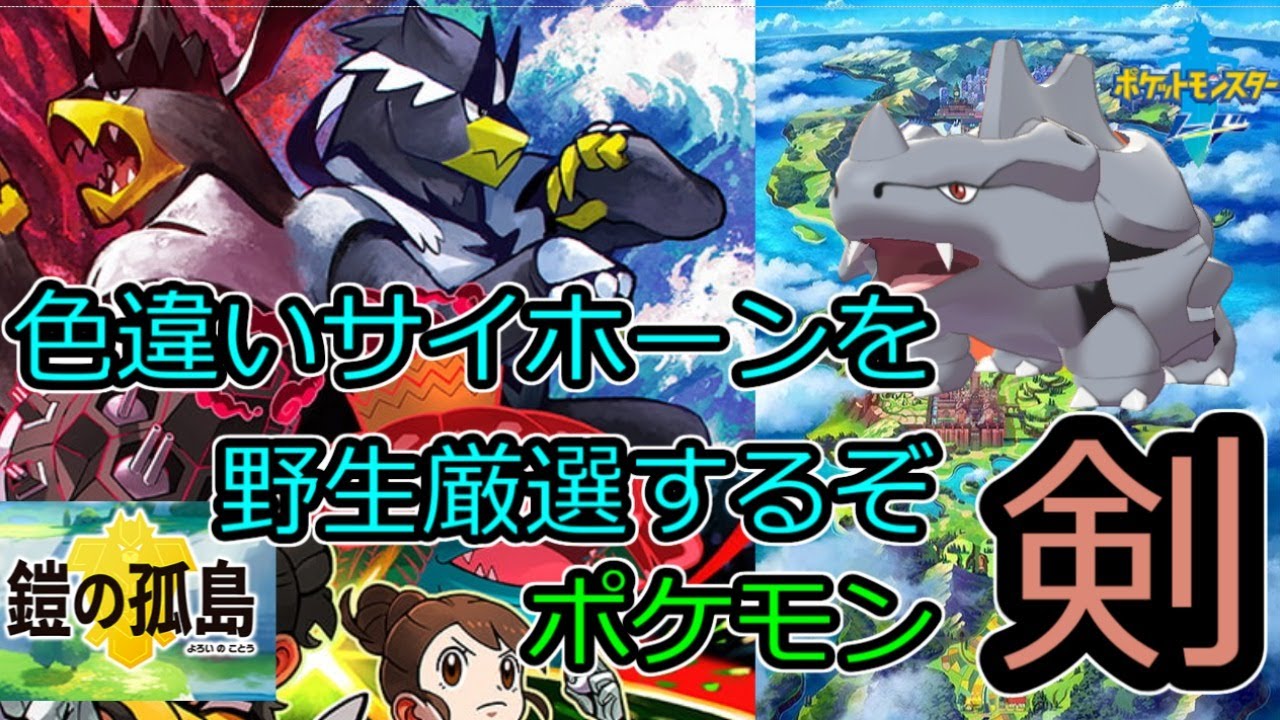 【野生色厳選】色違いのサイホーンを厳選するぞ　その2【ポケモン ソード】