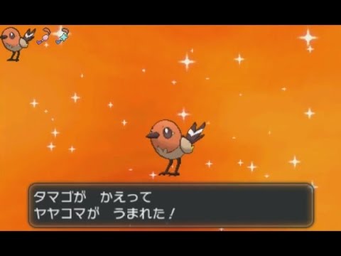 3DS【ポケモン XY】 shiny Fletchling 色違い ヤヤコマ  色違 小箭雀
