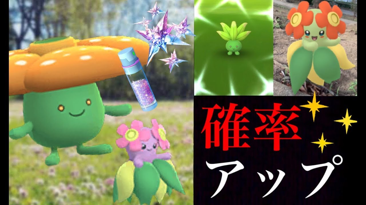 【ポケモンGO】色違いナゾノクサの確率が急上昇！ほしのすなウィークとともに今が狙いチャンス！ロケット団のサカキのジムが判明！？【サファリゾーン】