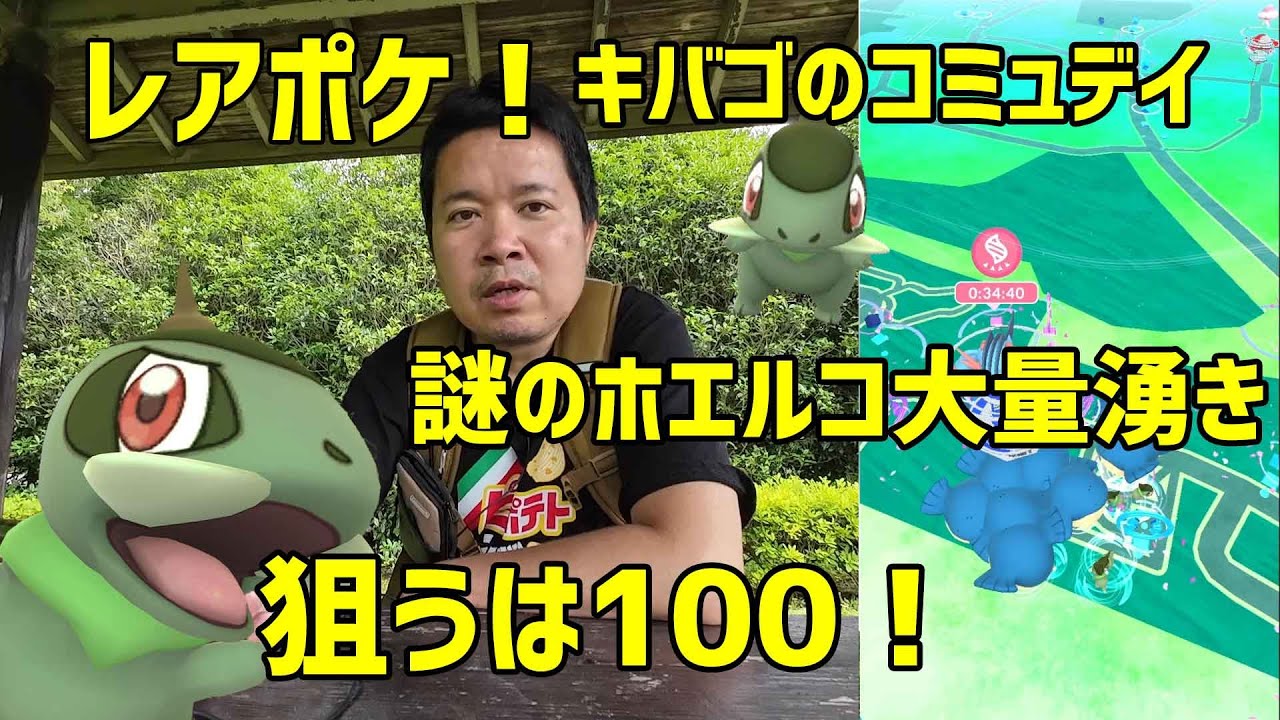 【ポケモンGO】100を狙ってくが何故のホエルコ大量湧きに困惑！ キバゴのコミュニティデイ