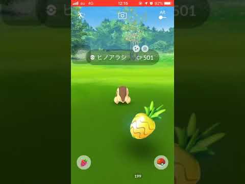 【ポケモンGO】ヒノアラシコミュニティデイ  色違いヒノアラシ